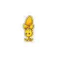 Golden Morelull